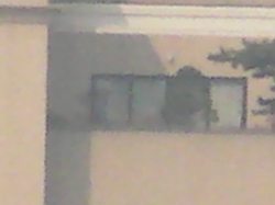 SANY0073.jpg