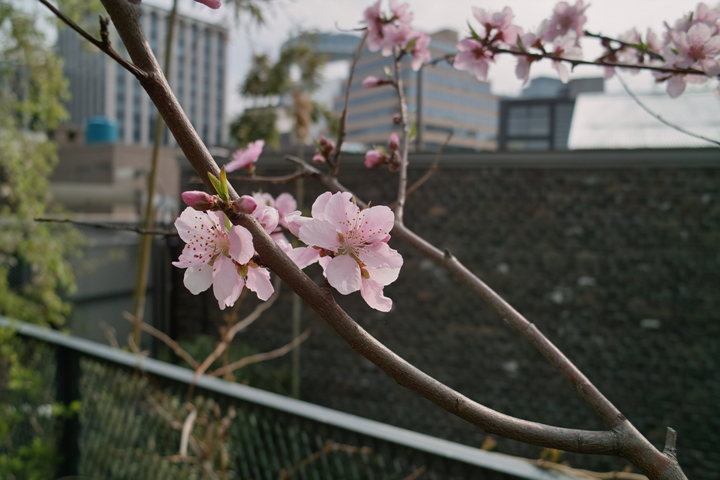 SDIM0027.jpg