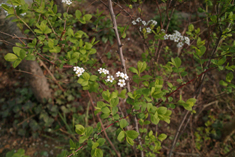 SDIM0030.jpg