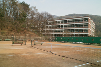 SDIM0065.jpg
