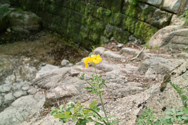SDIM0093.jpg