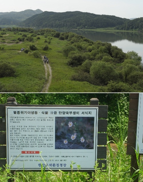 jh020503.jpg