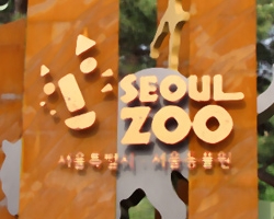 서울동물원 탐방기