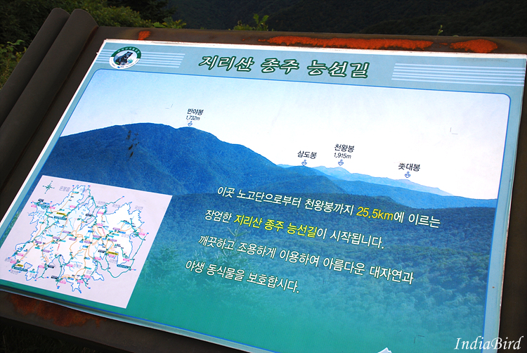 저질체력의 지리산 산행기 1편~대전에서 벽소령까지 - HIT 갤러리