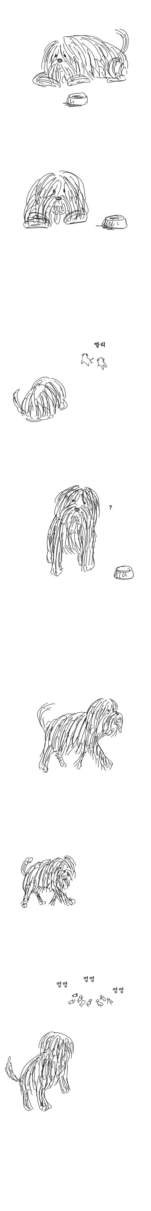 dog10.jpg